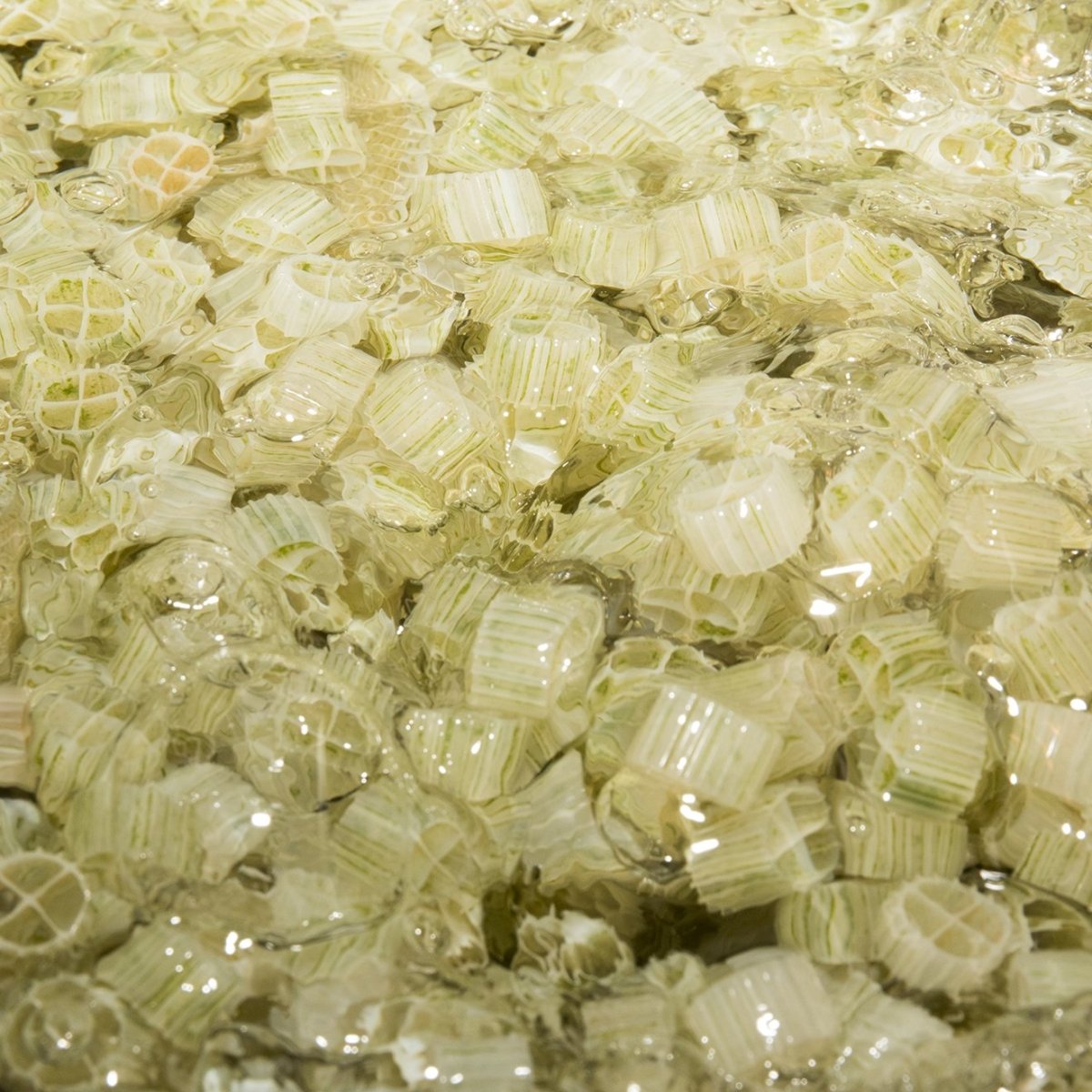 Filter Media for Koi and Ponds