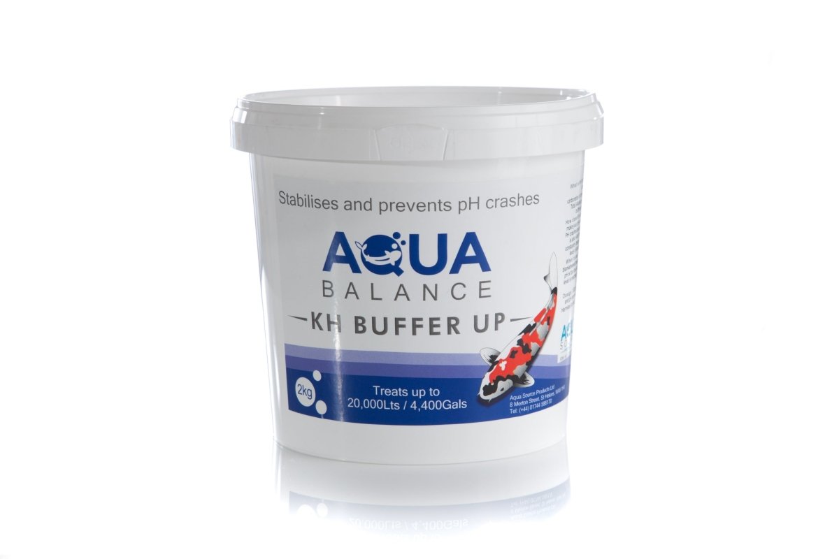 Product image 1 of 1