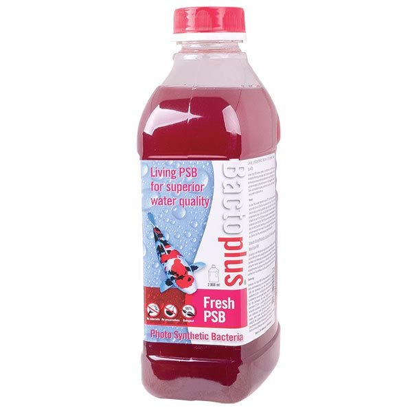 BACTOPLUS FRESH PSB - 2000ml