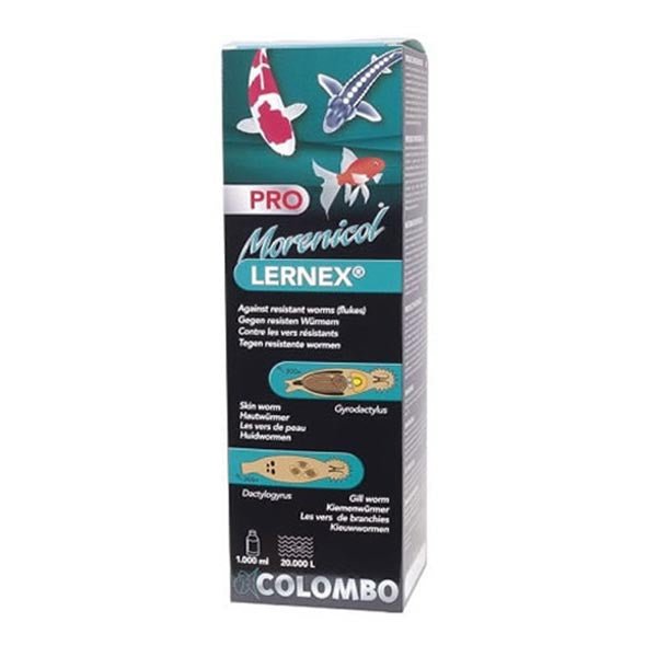 Product image 1 of 1