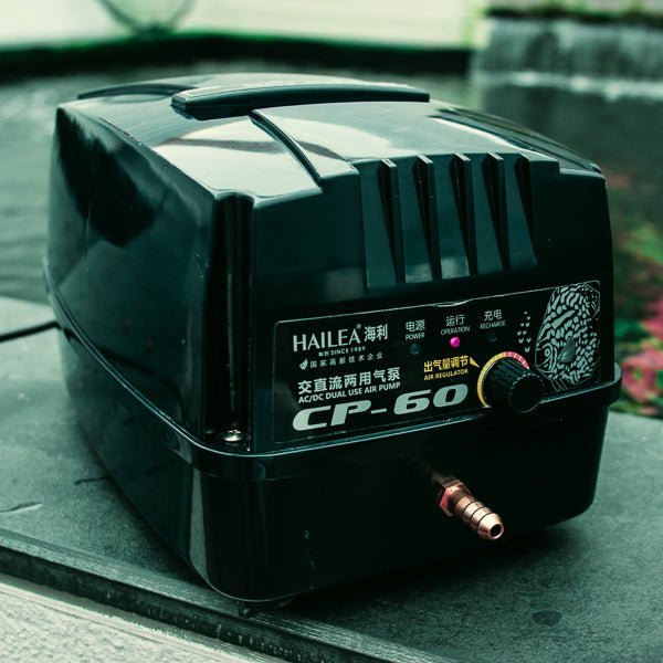 Battery Back Up Air Pumps - Worth the cost? - Kitsu Koi