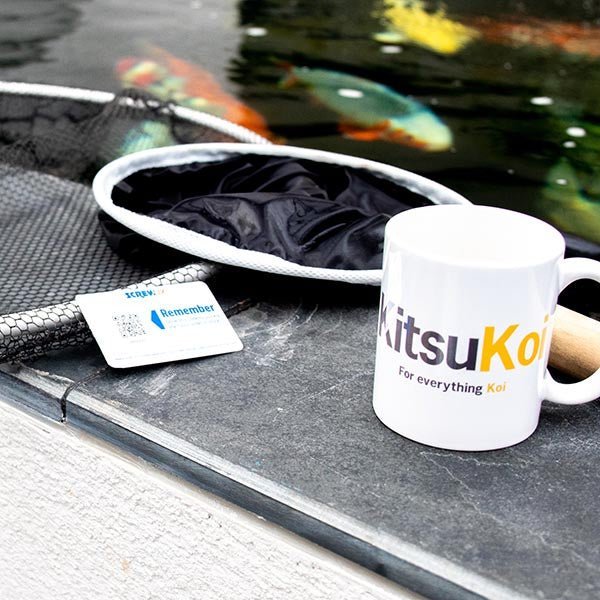 How to Take a Mucus Sample/Scrape - Kitsu Koi