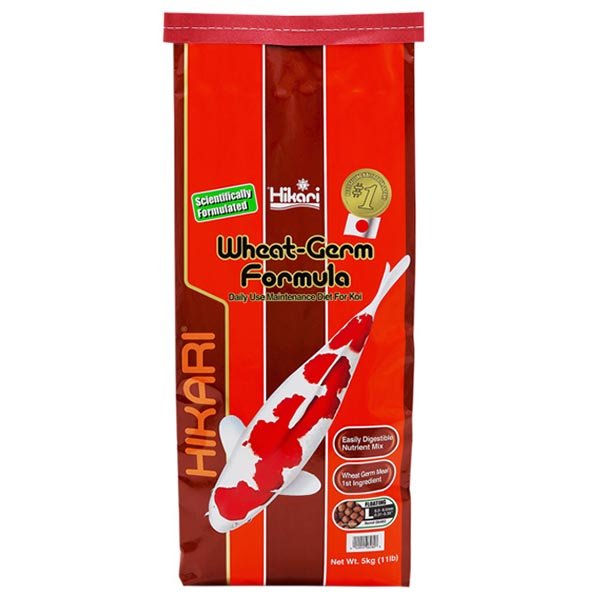 Koi Food - Hikari Wheatgerm - Hikari - Kitsu Koi -