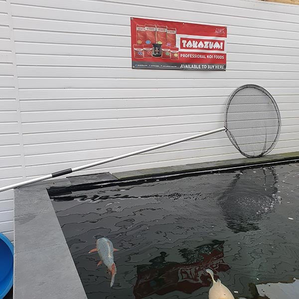 Koi Nets &amp; Bowls - KNS Fixed Koi Net Head &amp; Aluminium Handle - KNS - Kitsu Koi -