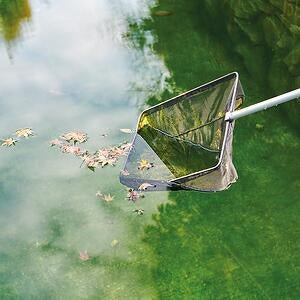 Koi Nets &amp; Bowls - Oase Algae Net small - Oase - Kitsu Koi -