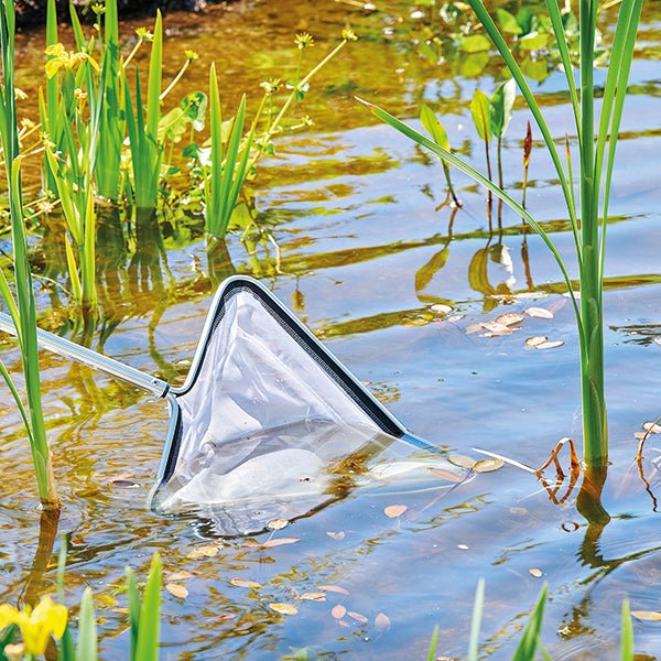 Koi Nets &amp; Bowls - Oase Algae Net Triangular - Oase - Kitsu Koi -