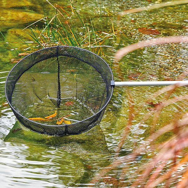 Koi Nets &amp; Bowls - Oase Fish Net large, telescopic - Oase - Kitsu Koi -