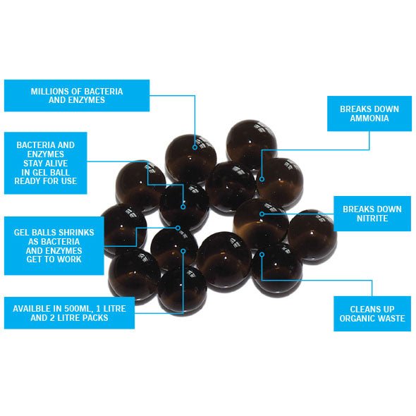 Koi &amp; Pond Treatments - Evolution Aqua PURE Pond Bacteria Balls - Evolution Aqua - Kitsu Koi -