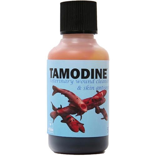 Koi &amp; Pond Treatments - Tamodine Wound Dressing - Vetark - Kitsu Koi -
