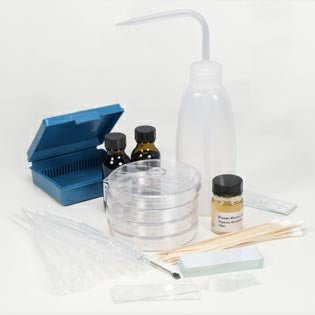 Microscope - Brunel Fish Disease Kit - Brunel - Kitsu Koi -