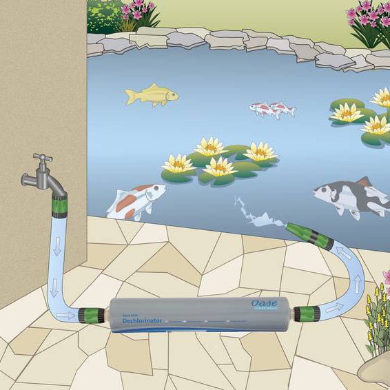 Purifiers - Oase Aqua Activ Dechlorinator - Oase - Kitsu Koi -